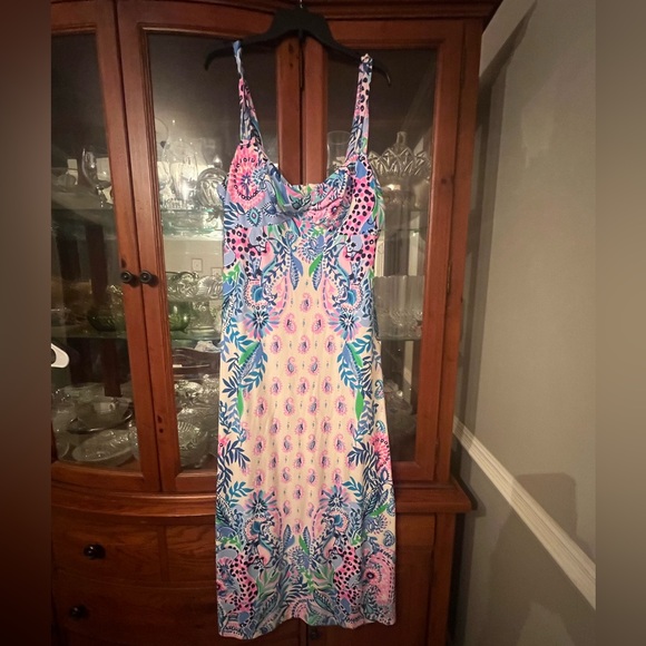 COPY - Lilly Pulitzer NWT Ambria Maxi Dress Size 16 - Picture 1 of 4